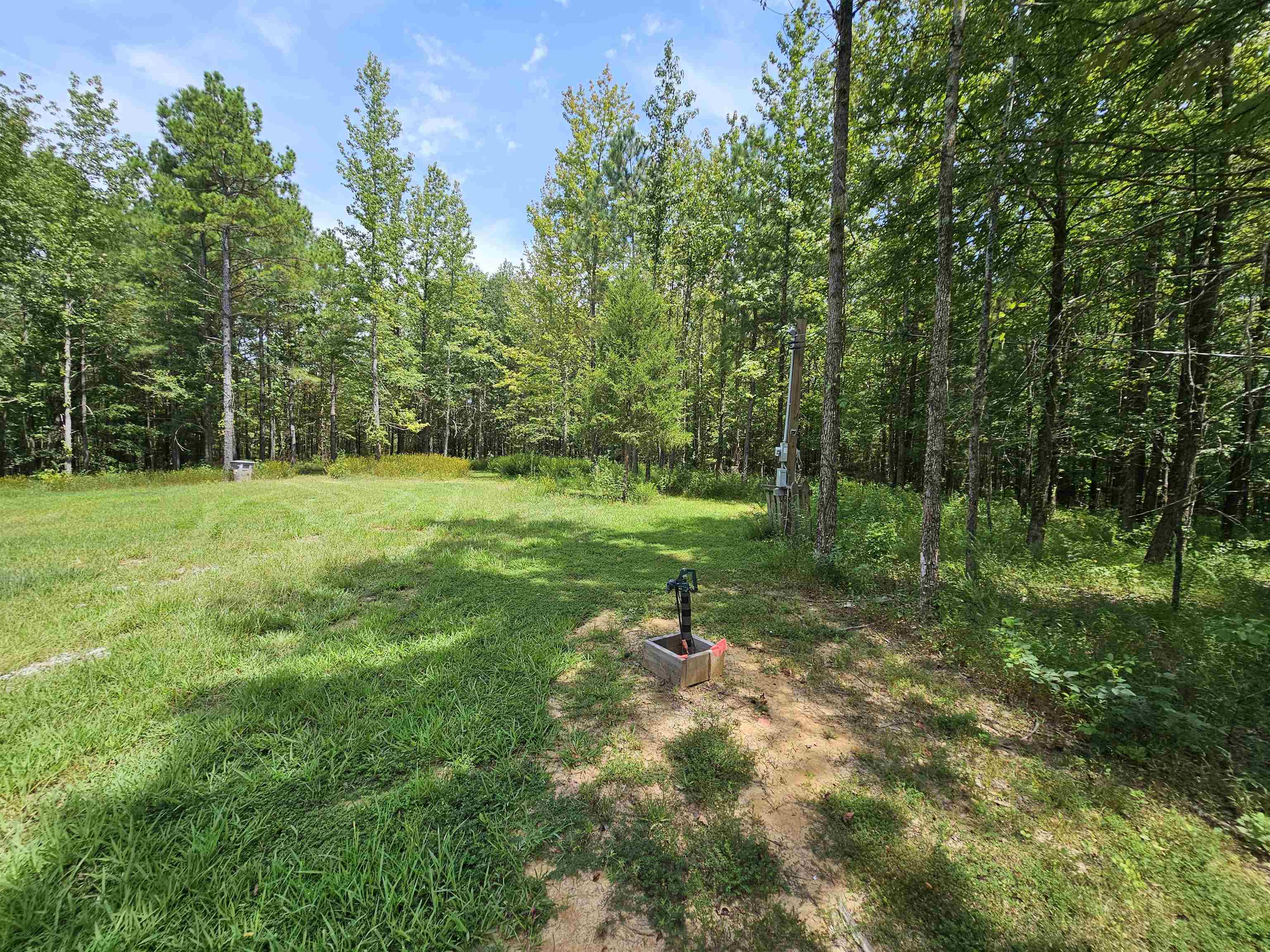 10790 Macedonia Road Brighton, TN 38011 - Photo 8 of 16