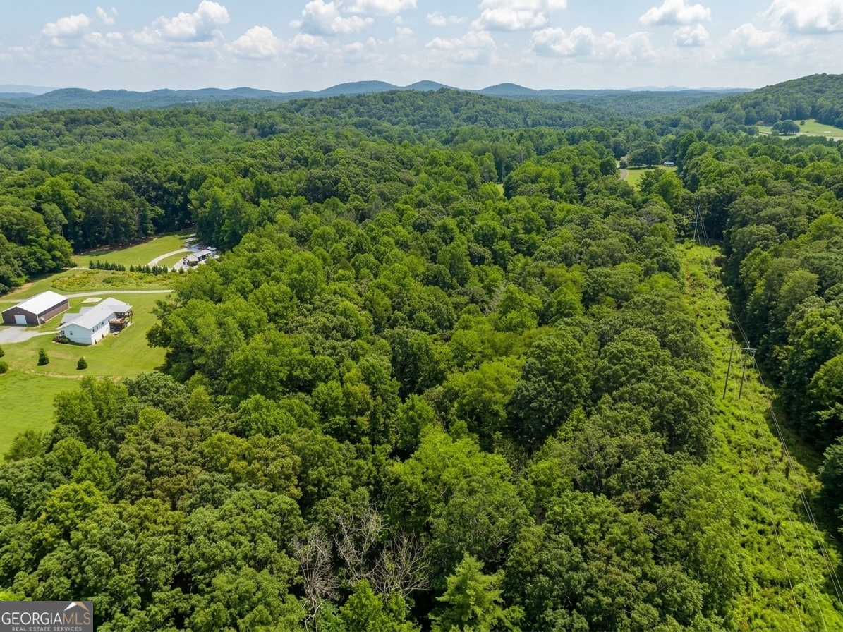 380 Guy Wimpy Road, Unit LOT 2 Dahlonega, GA 30533 - Photo 22 of 23
