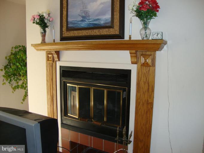 136 Barre Street West, Unit R Baltimore, MD 21201 - Photo 17 of 22 Fireplace