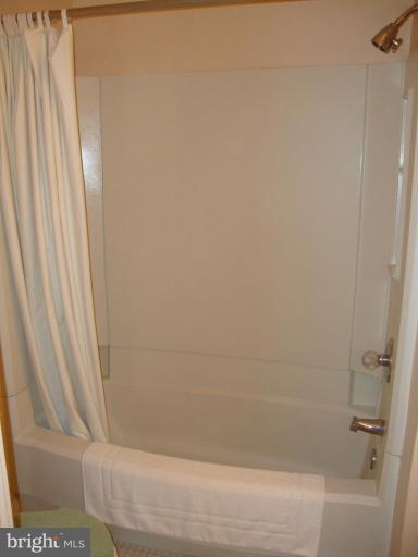 136 Barre Street West, Unit R Baltimore, MD 21201 - Photo 6 of 22 Master Bath
