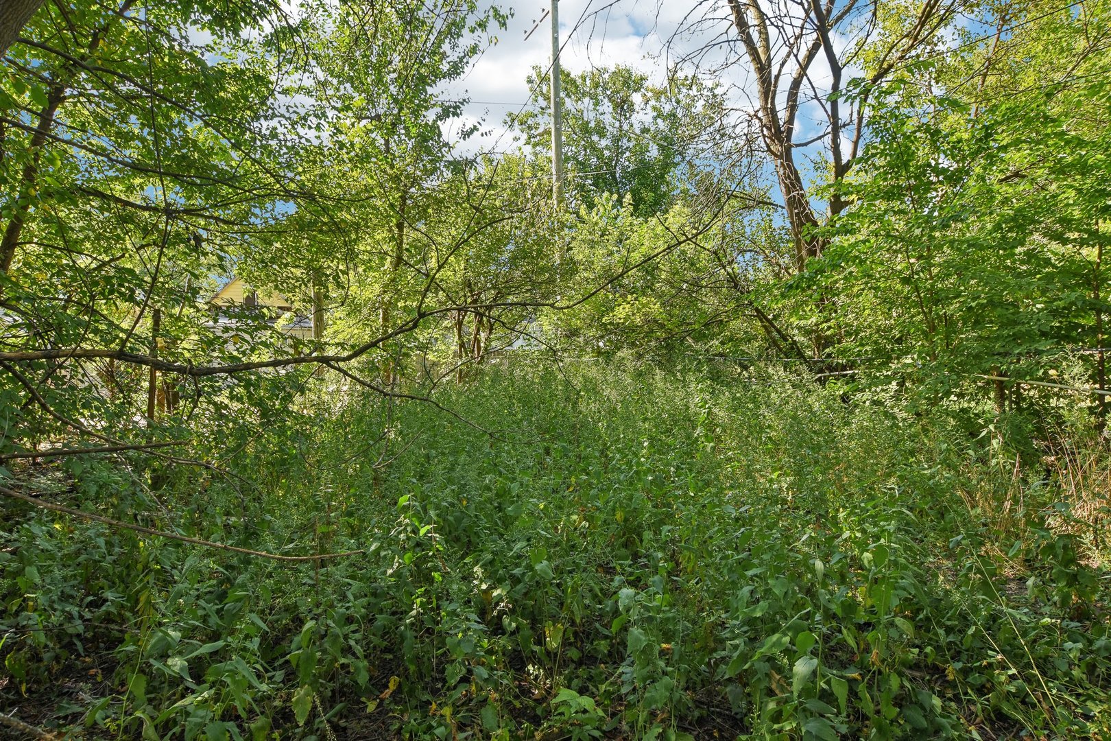 10546 South State Street Chicago, IL 60628 - Photo 3 of 4