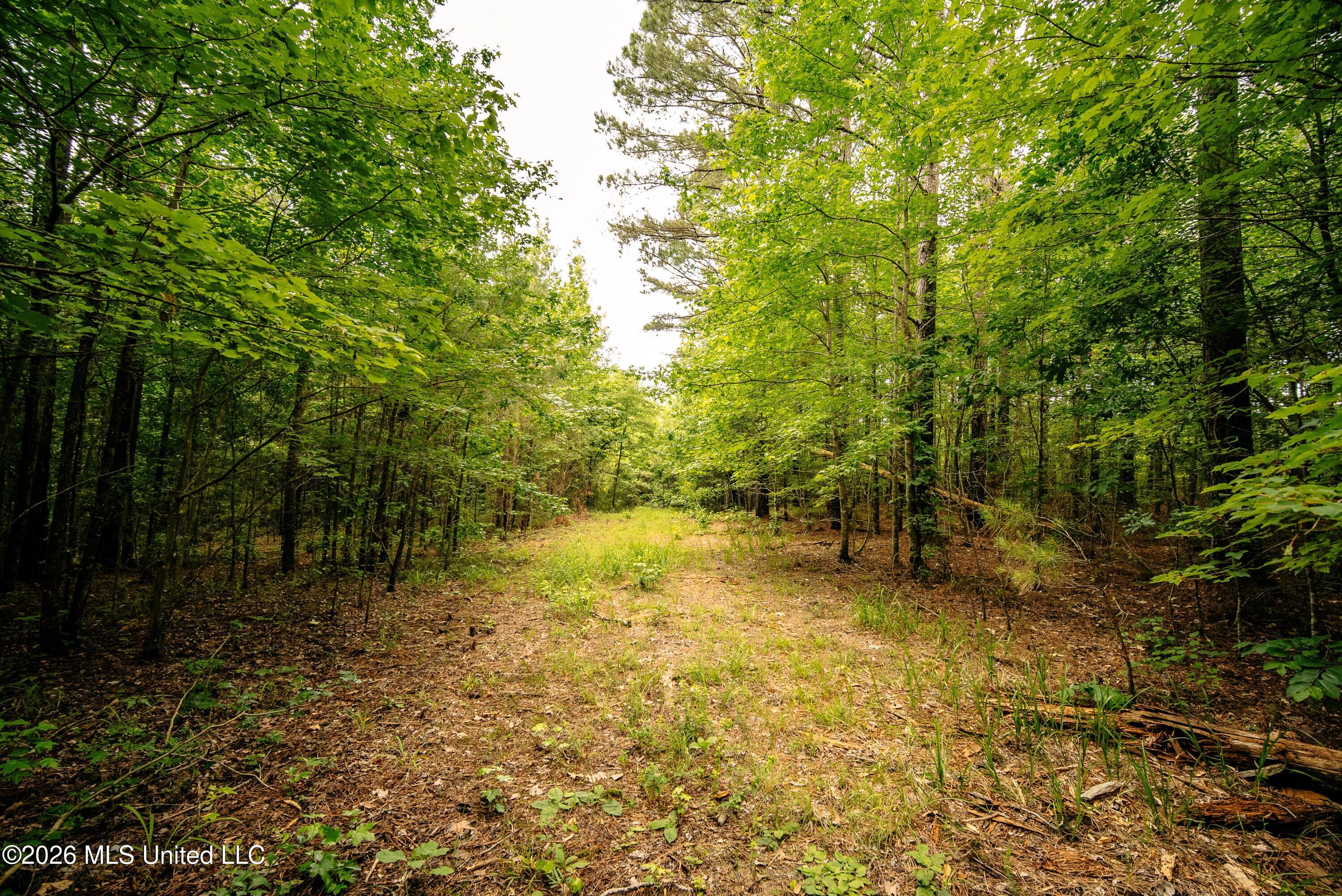 10843 Reservation Road Philadelphia, MS 39350 - Photo 28 of 42 DSC01145