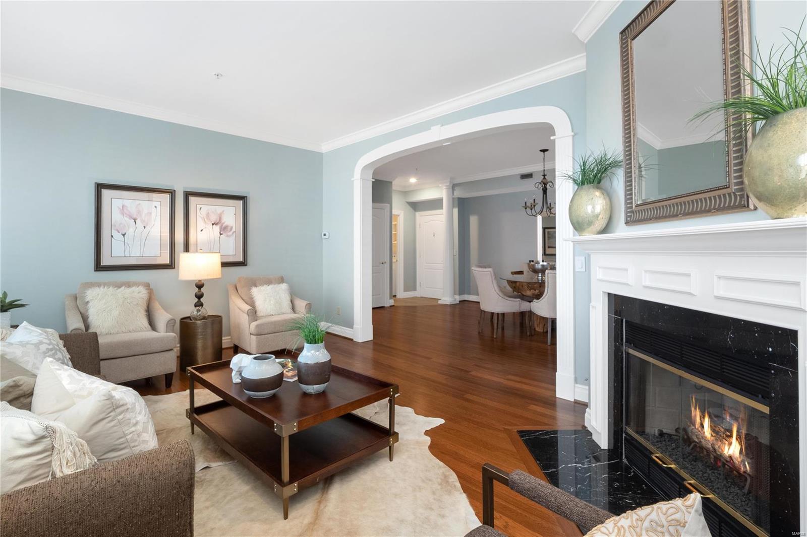 750 South Hanley Road, Unit 480 St. Louis, MO 63105 - Photo 4 of 16 Gallery Image 4