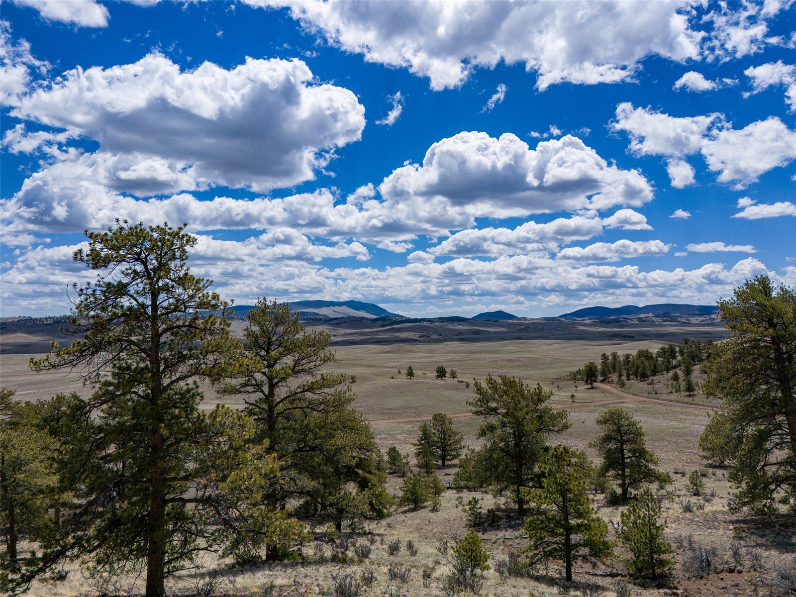 Tbd Tbd Black Beaver Rd/ Keechi Road Hartsel, CO 80449 - Photo 3 of 28 Gallery Image 3