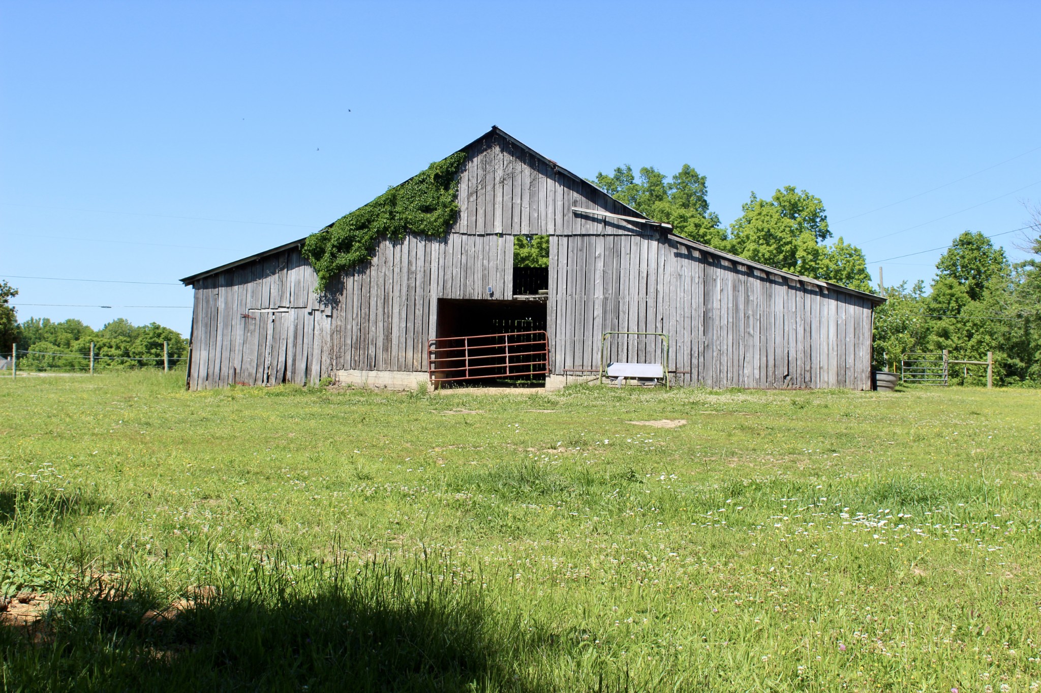 0 Hall Road Greenbrier, TN 37073 - Photo 11 of 28 a view of a back yard