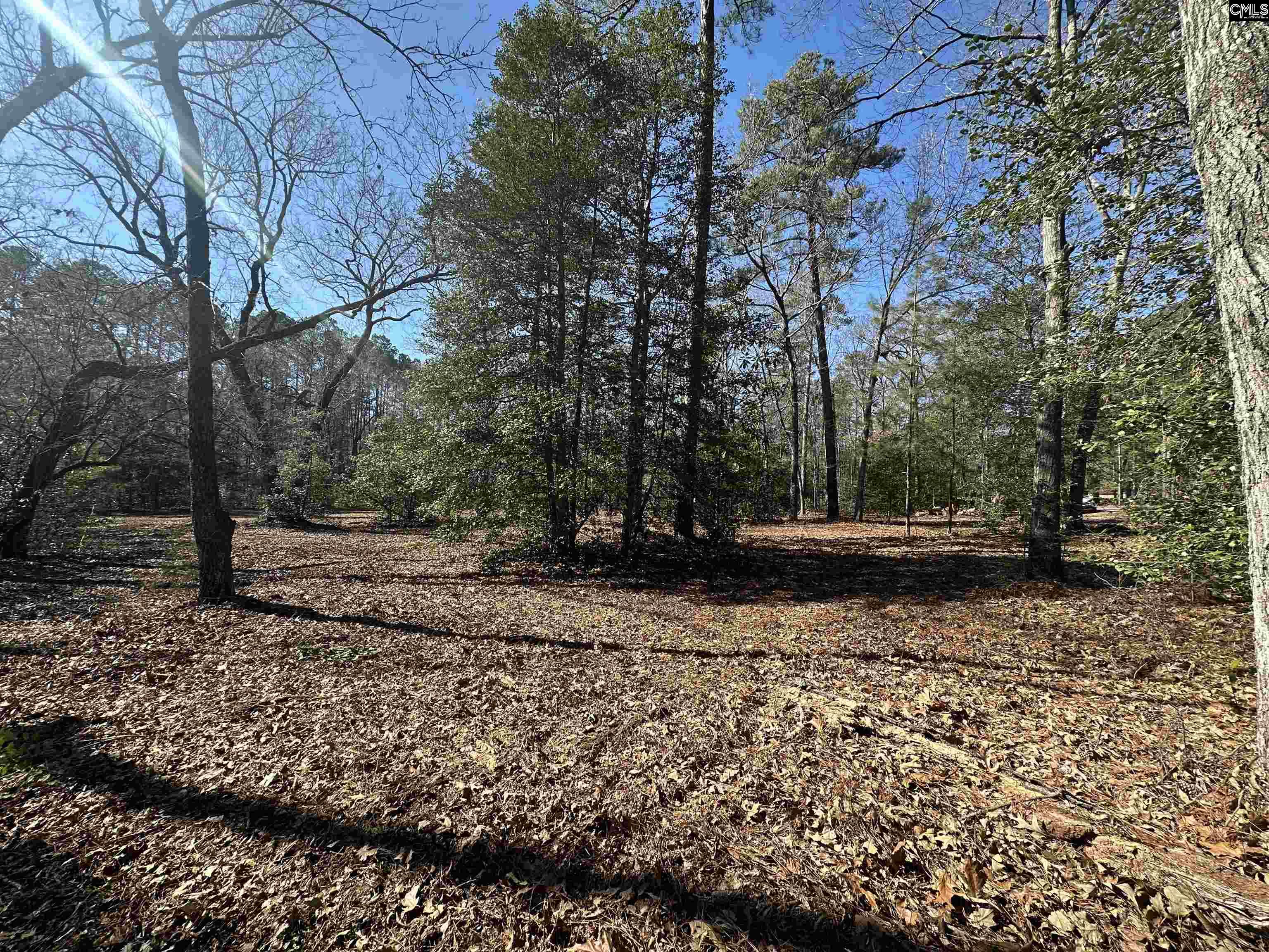 622 Juniper Springs Road Gilbert, SC 29054 - Photo 6 of 10