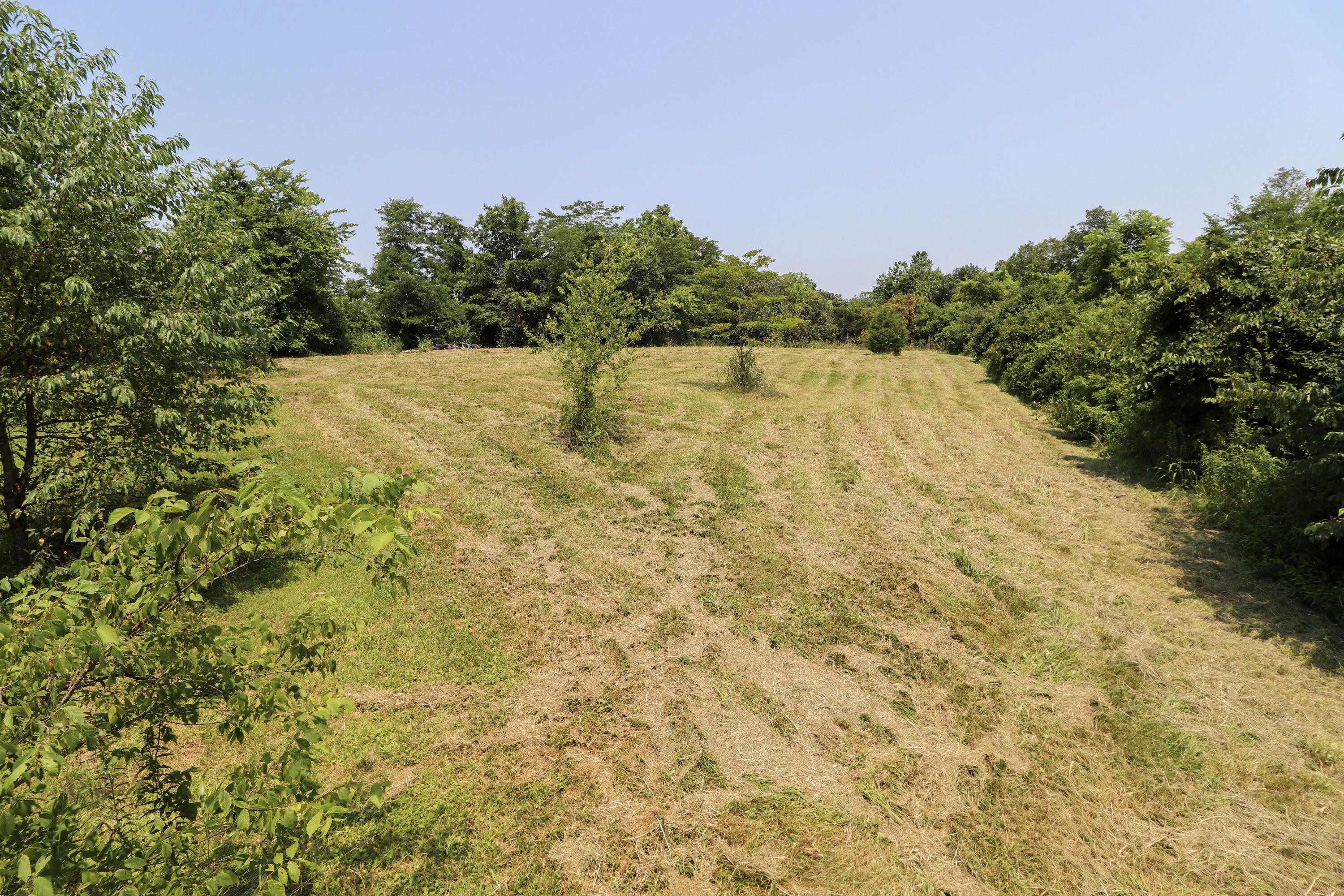 2000 Guynn Road Paint Lick, KY 40461 - Photo 27 of 35 Guynnflatyard