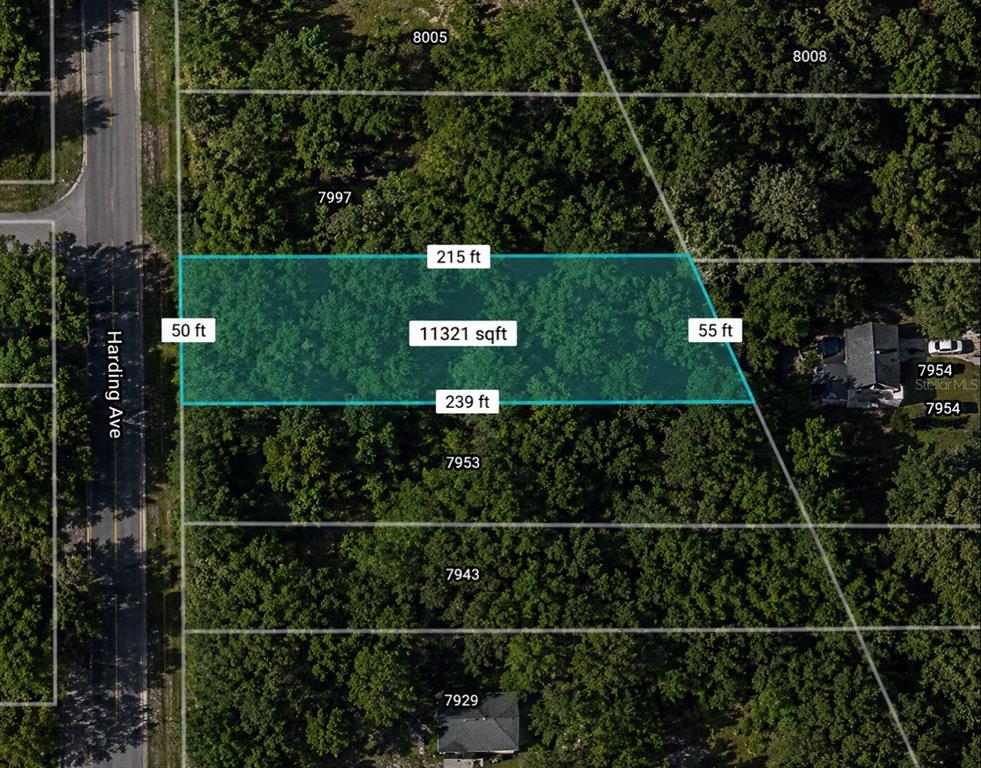 Harding Avenue Jacksonville, FL 32219 - Photo 2 of 3