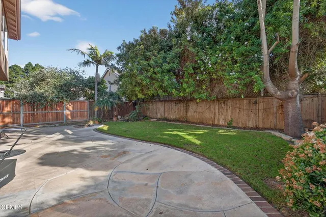 a view of a backyard with large trees and wooden fence