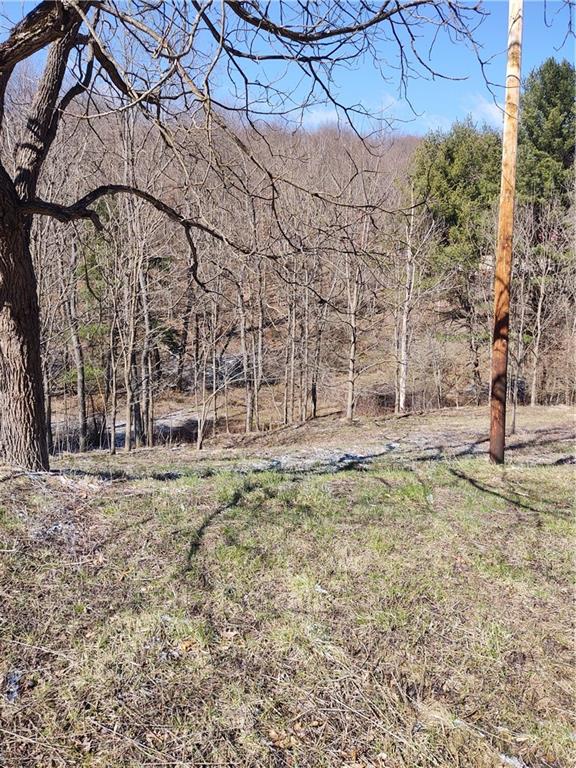 925 Clearfield Road Fenelton, PA 16034 - Photo 2 of 7 Gallery Image 2