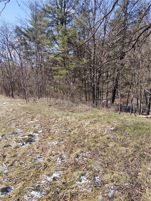 925 Clearfield Road Fenelton, PA 16034 - Photo 4 of 7 Gallery Image 4