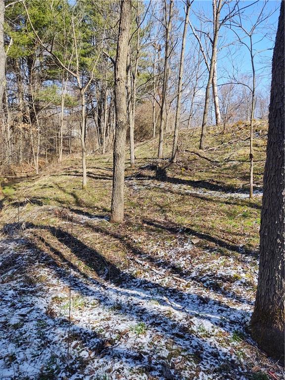 925 Clearfield Road Fenelton, PA 16034 - Photo 7 of 7 Gallery Image 7