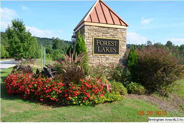 4042 Forest Lakes Road Sterrett, AL 35147 - Photo 28 of 30