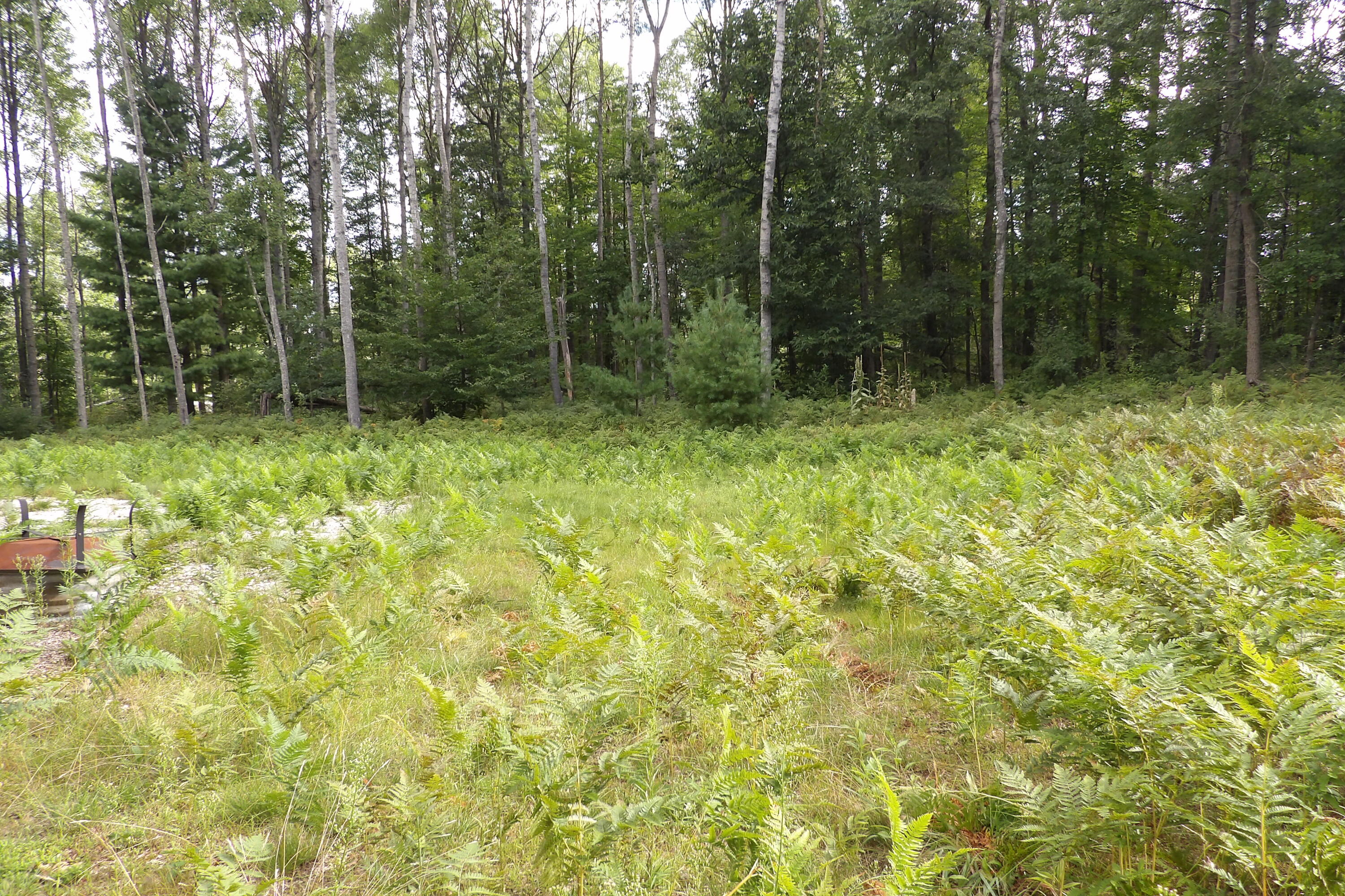 11029 South River Road Evart, MI 49631 - Photo 14 of 67 100_0697