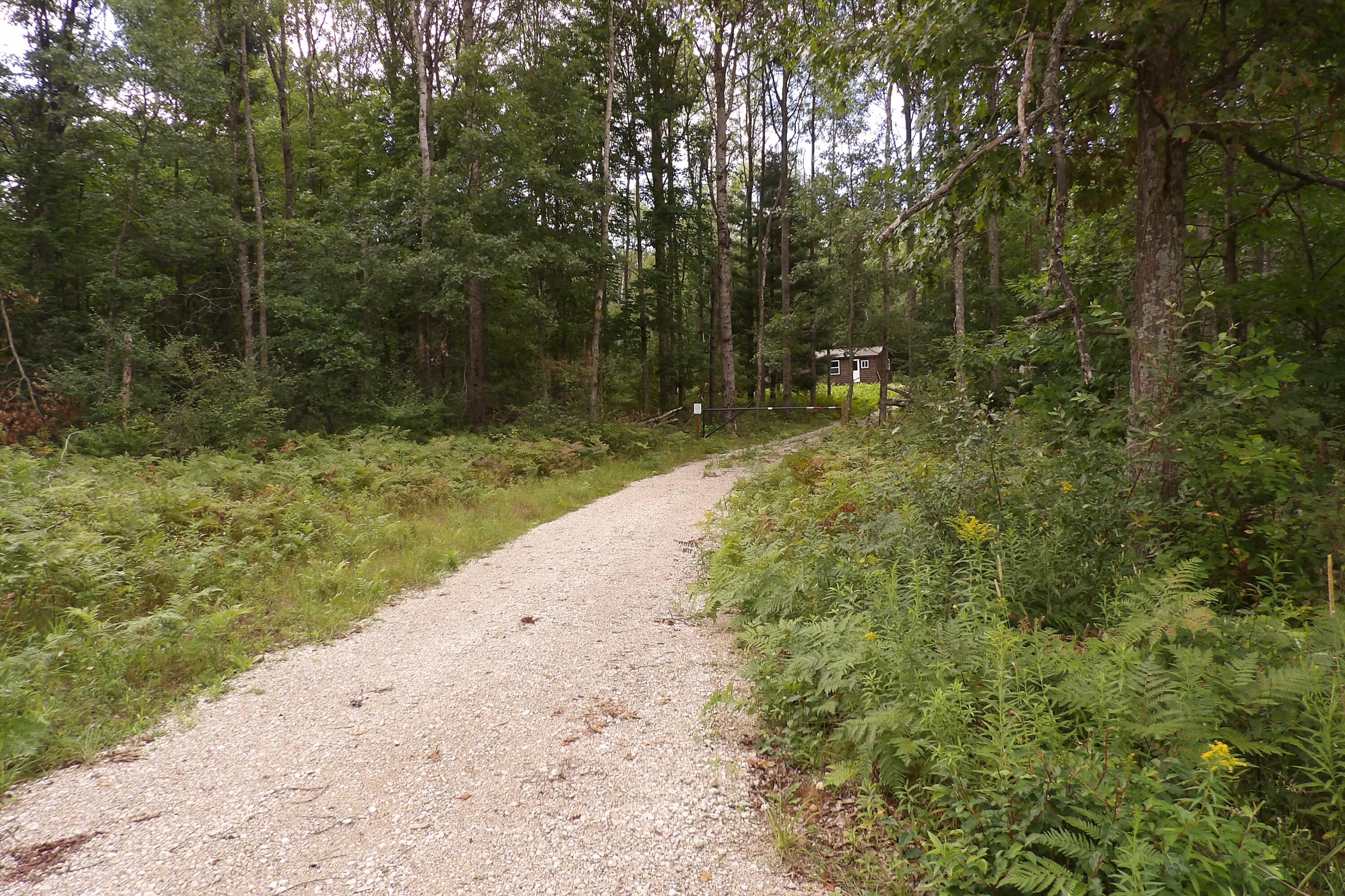 11029 South River Road Evart, MI 49631 - Photo 20 of 67 100_0706