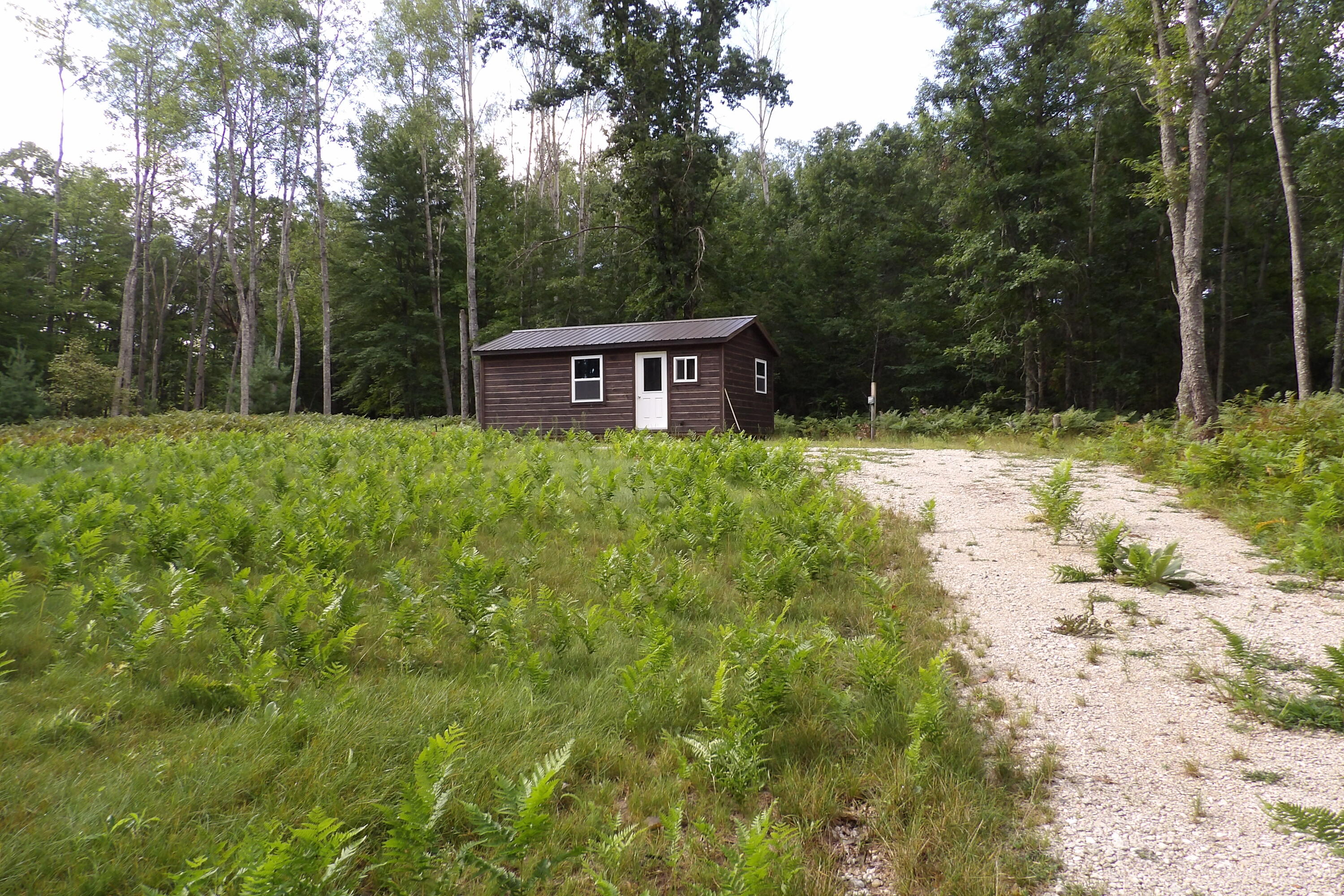 11029 South River Road Evart, MI 49631 - Photo 2 of 67 River Road view