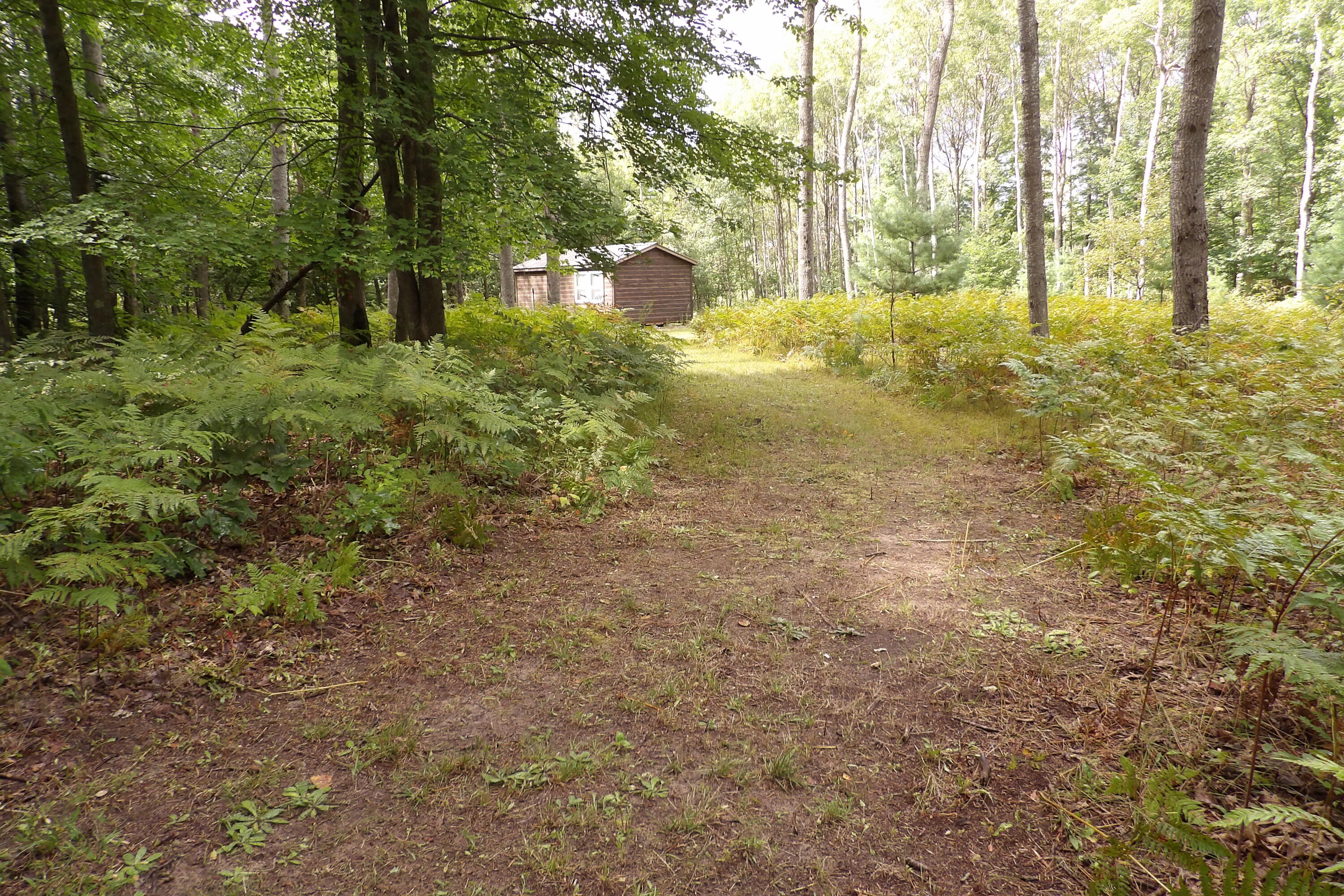 11029 South River Road Evart, MI 49631 - Photo 37 of 67 100_0734