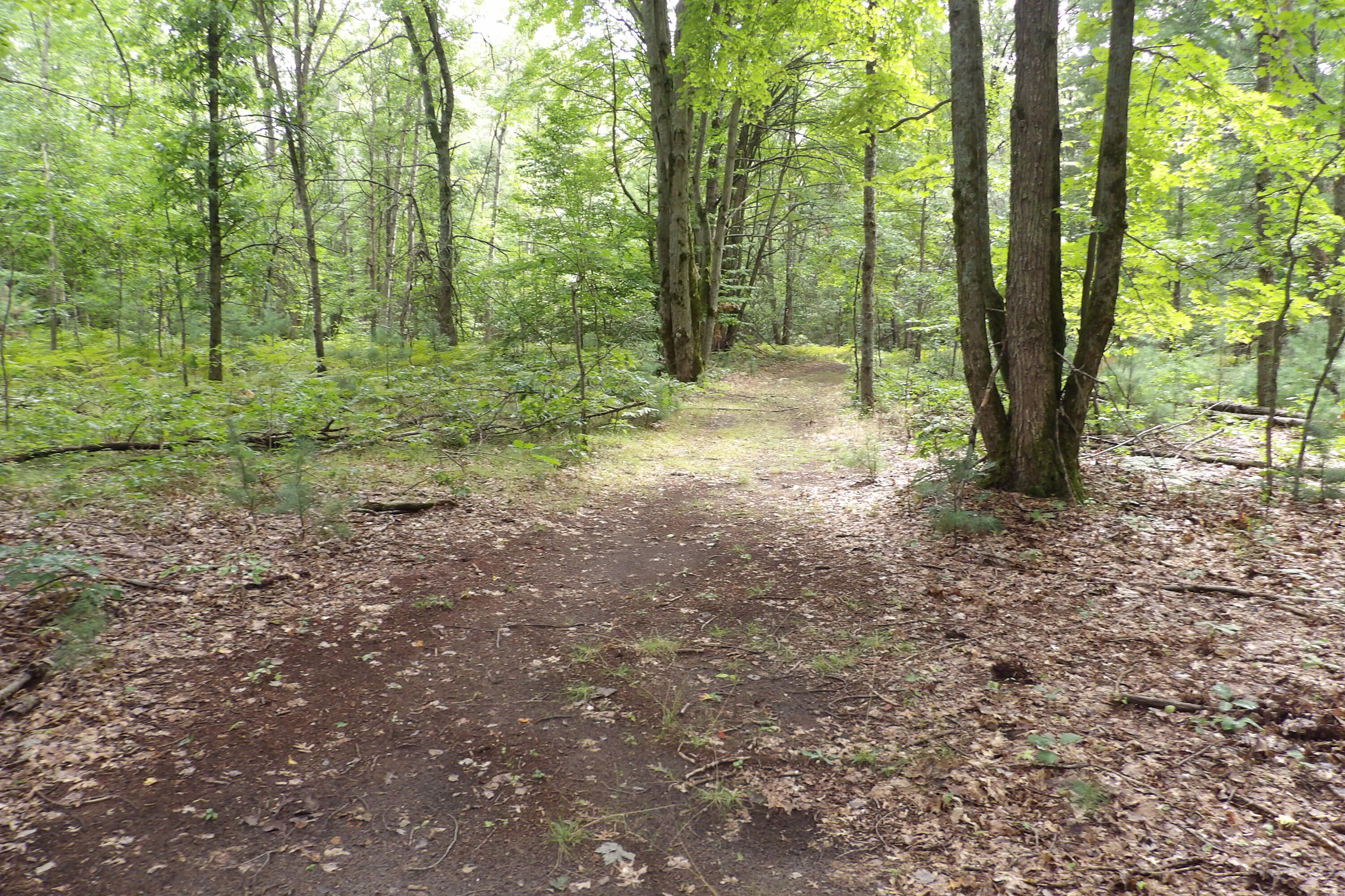 11029 South River Road Evart, MI 49631 - Photo 49 of 67 100_0747
