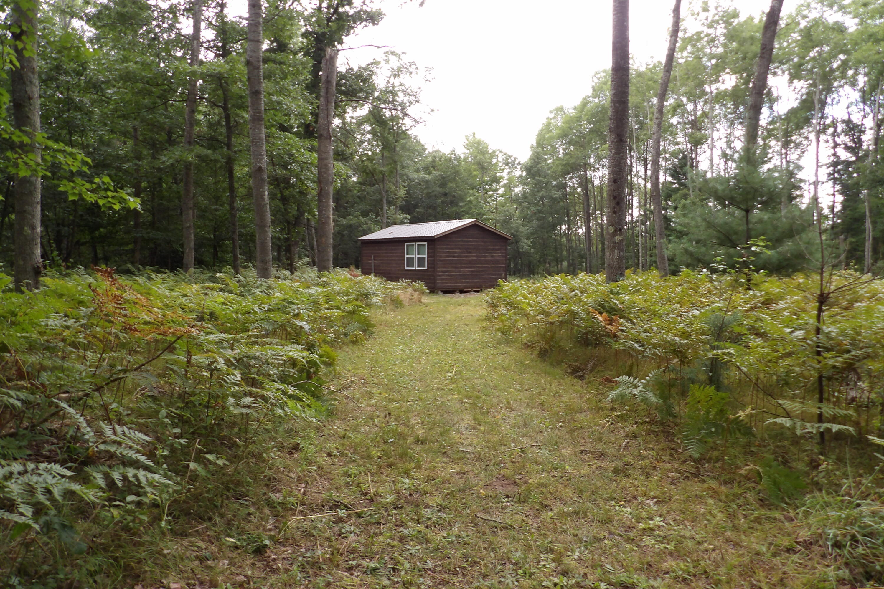 11029 South River Road Evart, MI 49631 - Photo 63 of 67 100_0763