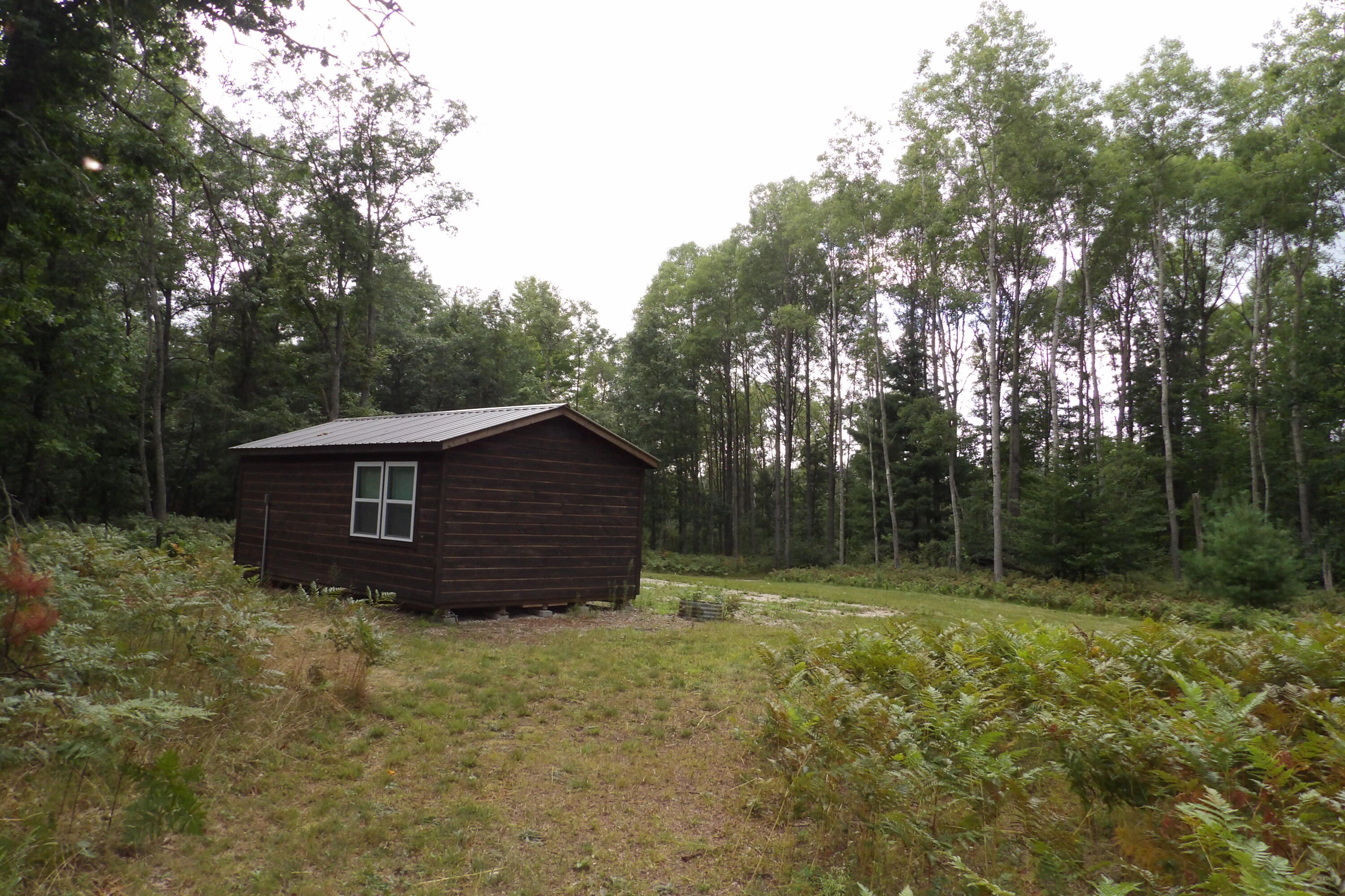 11029 South River Road Evart, MI 49631 - Photo 64 of 67 100_0764
