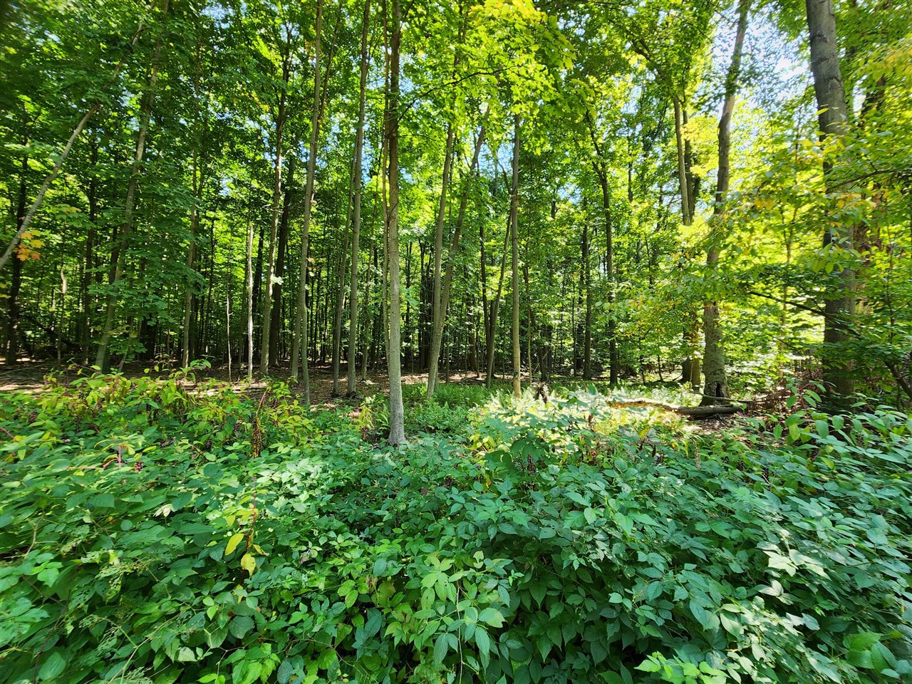 Lot F North Behler Road Bailey, MI 49303 - Photo 17 of 20