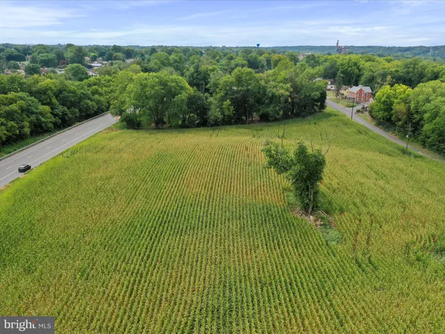 a view of a garden with a building in the background