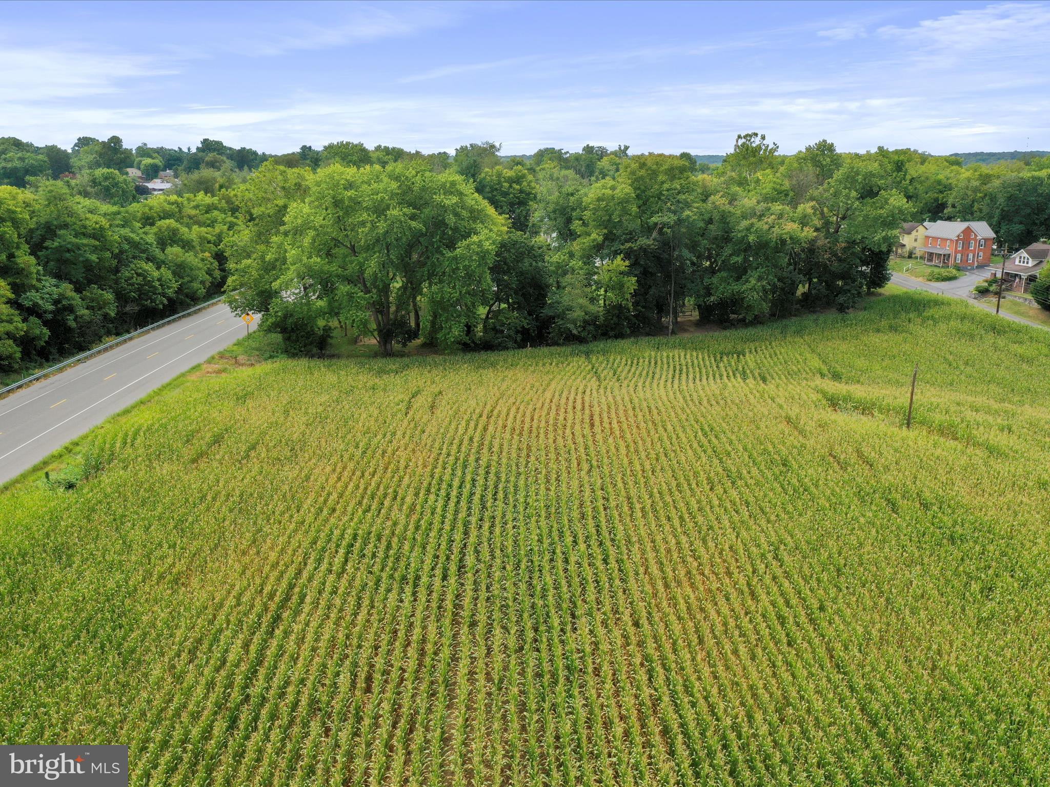 Honeyfield Road Williamsport, MD 21795 - Photo 15 of 17 a view of a big yard with an outdoor space