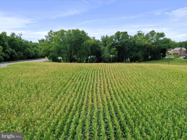 a view of a bunch of trees and bushes