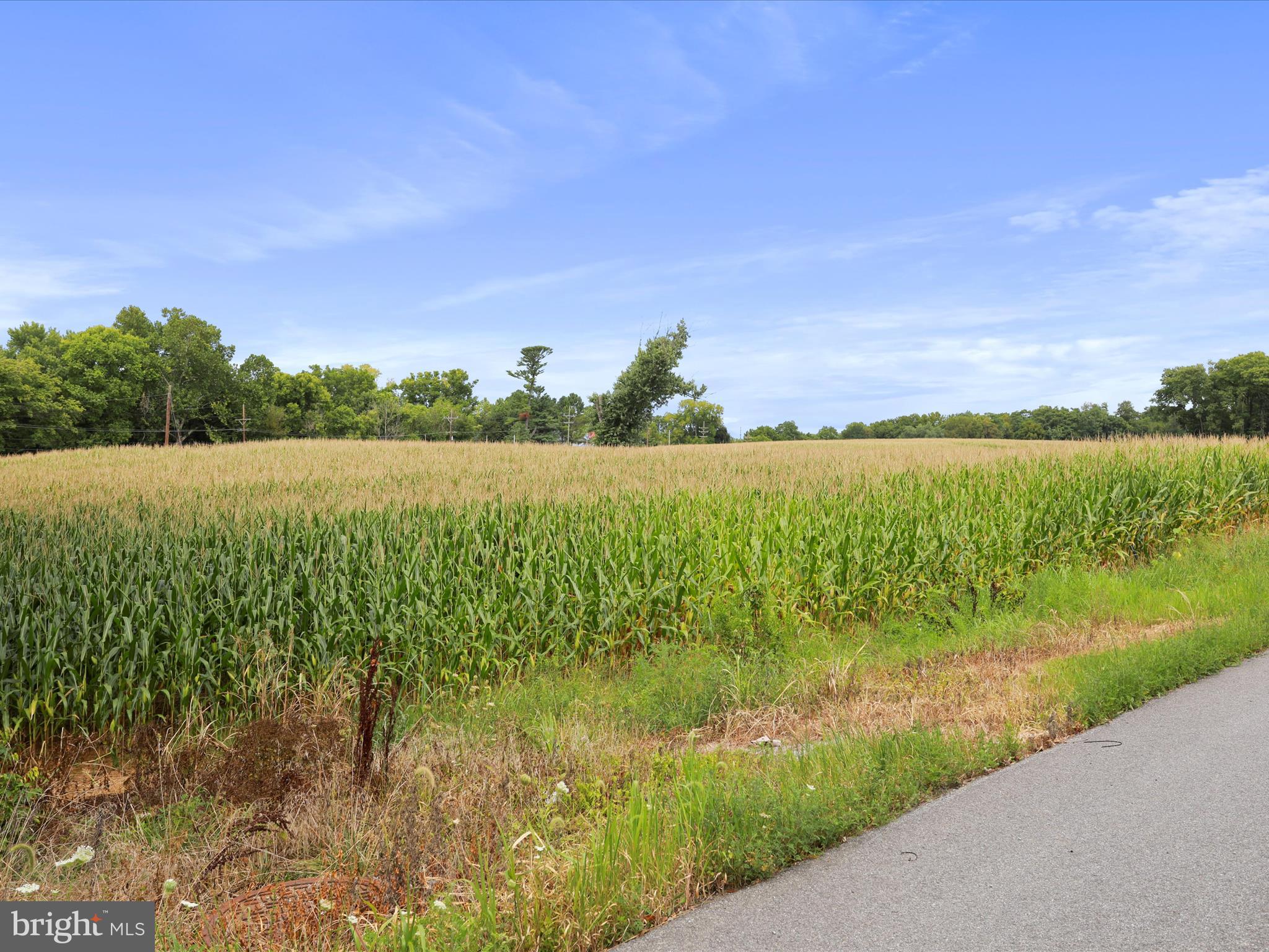 Honeyfield Road Williamsport, MD 21795 - Photo 3 of 17 a view of lake and mountain