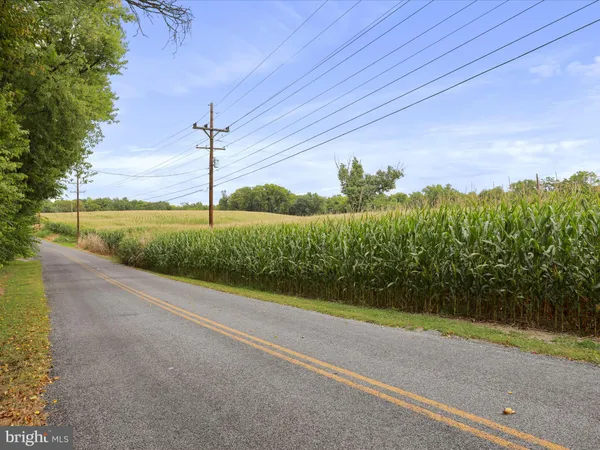 a view of a yard with potted plants