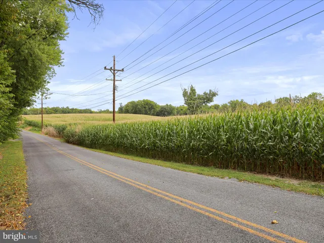 a view of a yard with potted plants