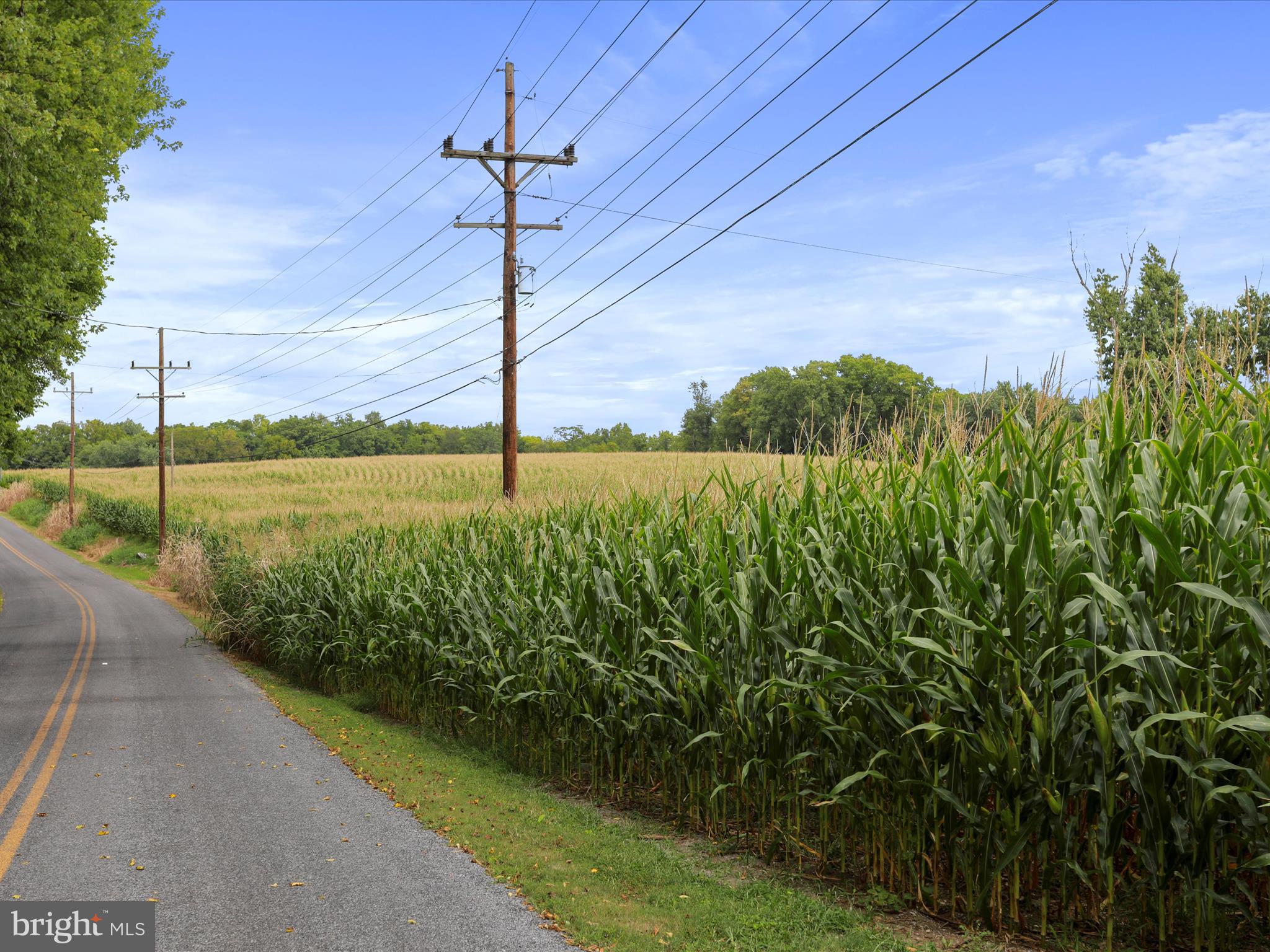 Honeyfield Road Williamsport, MD 21795 - Photo 5 of 17 a view of a street with an ocean view