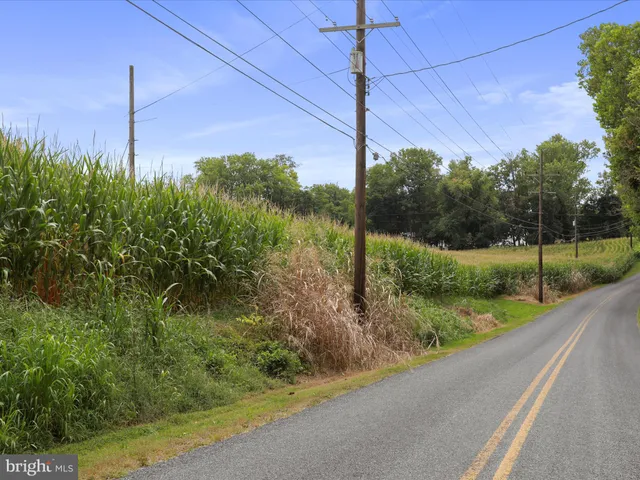 a view of a small yard
