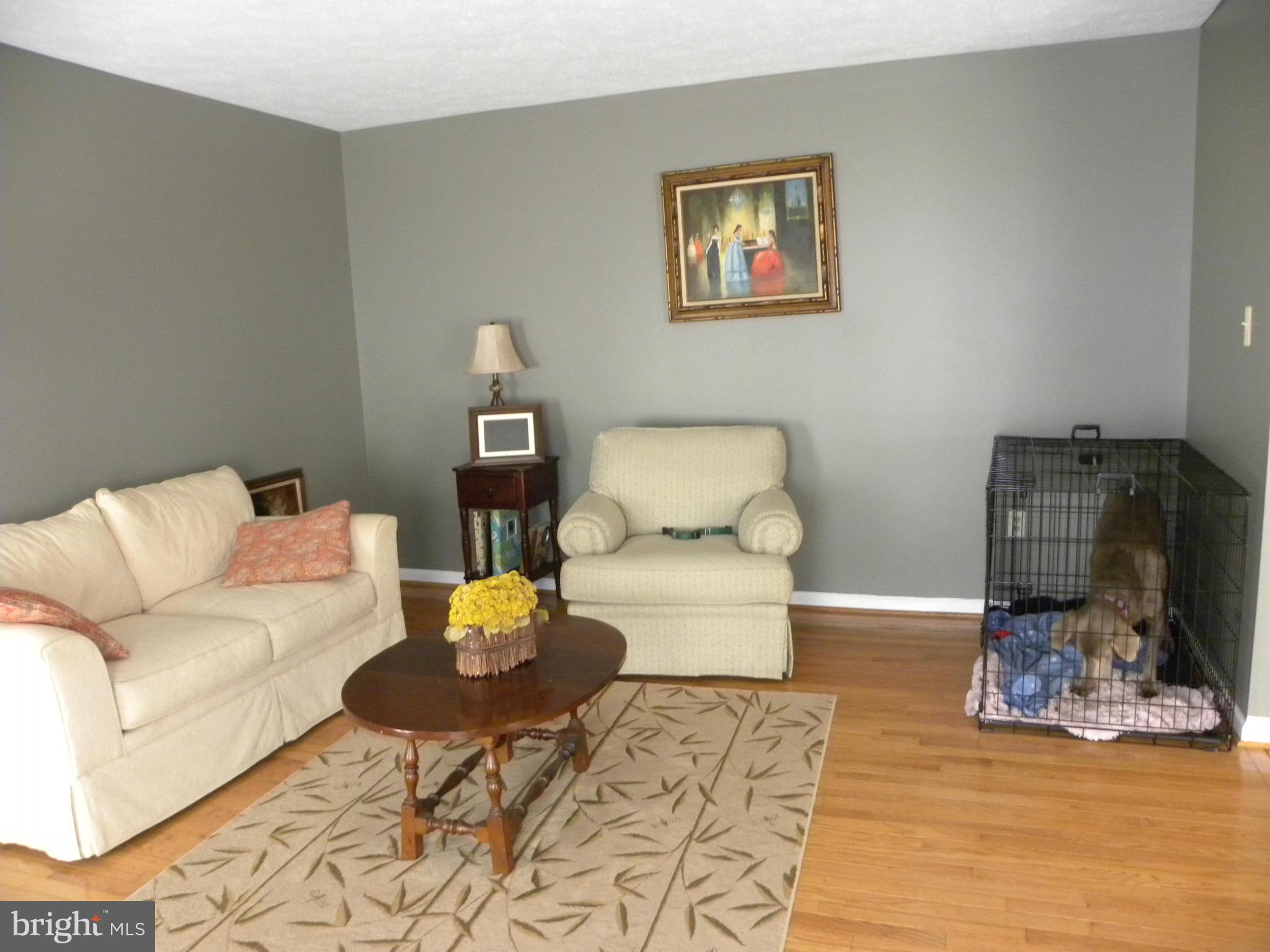 33 Carrollton Road Sterling, VA 20165 - Photo 12 of 30 Living Room