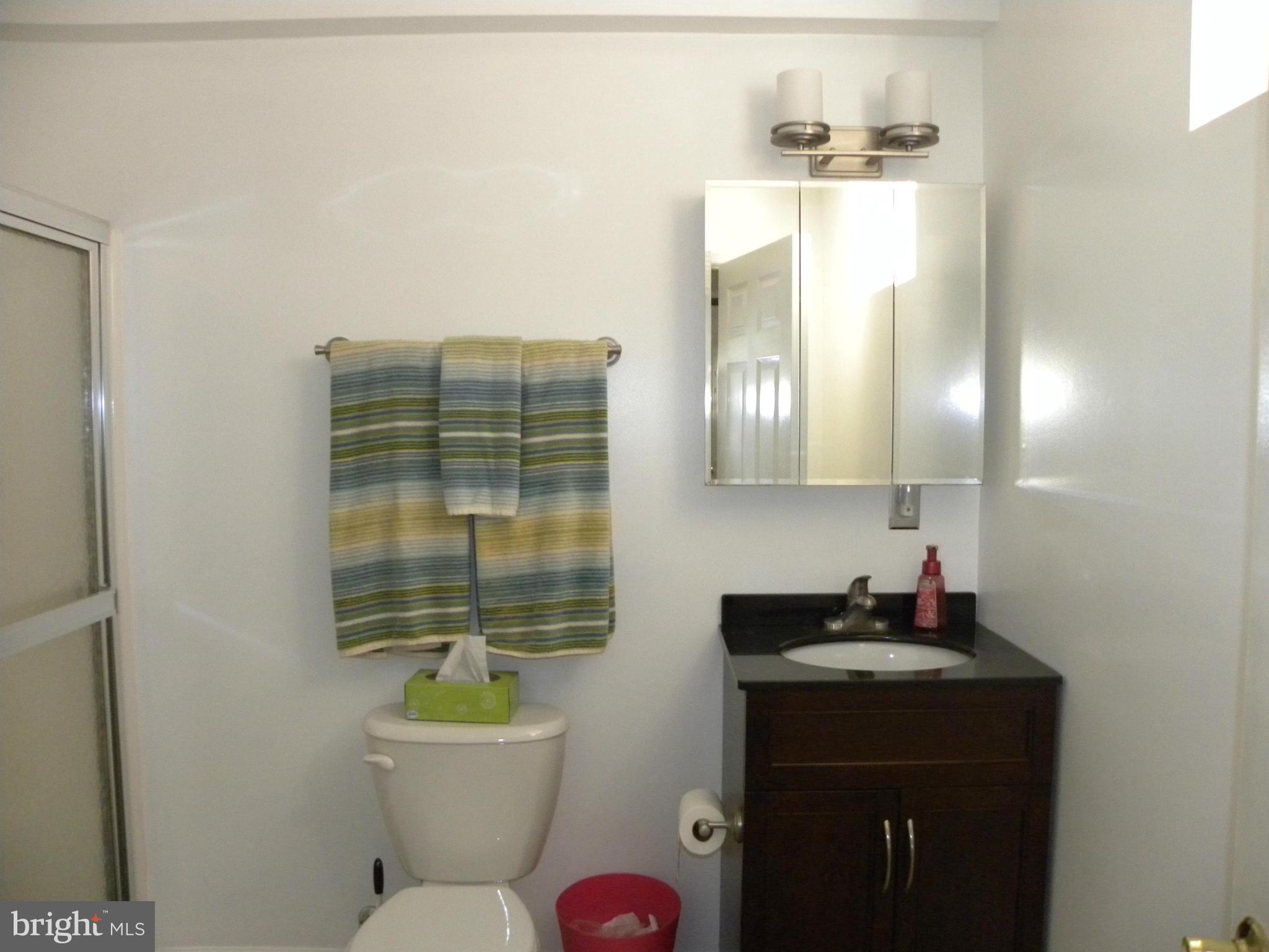 33 Carrollton Road Sterling, VA 20165 - Photo 25 of 30 Lower level full bath