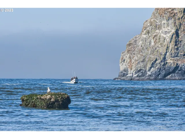 a view of swimming pool is in the middle of a room