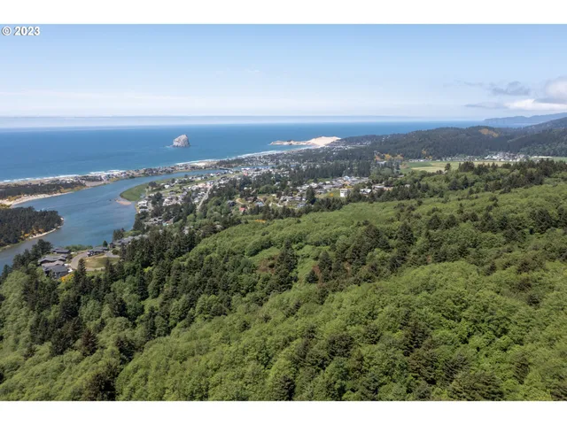a view of a dry yard with trees
