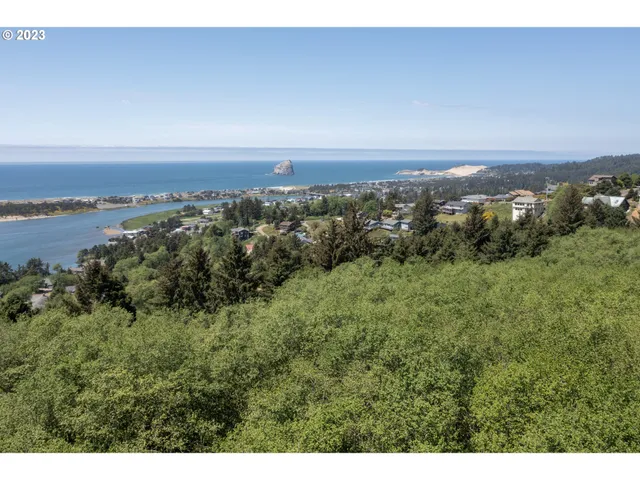 a view of a lake with a mountain in the background