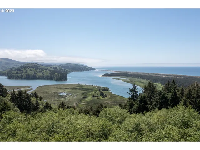 a view of city and green space