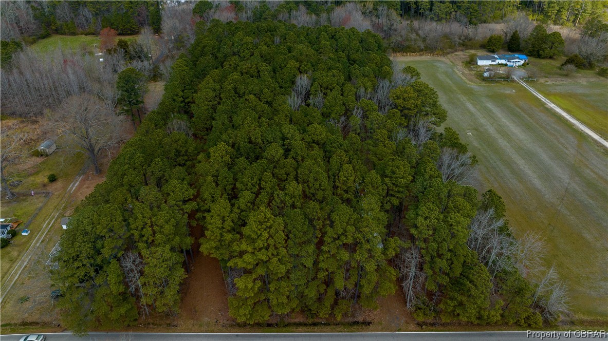 11-ac 11-ac Maryus & Line Fence Road Hayes, VA 23072 - Photo 11 of 32