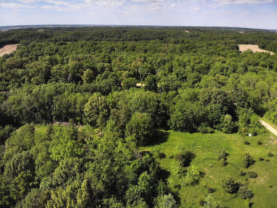 9494 South Lost Horizon Road Hanover, IL 61041 - Photo 7 of 26 a view of a green field with lots of bushes
