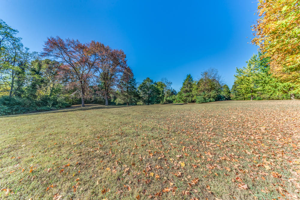 7109 Regency Road Knoxville, TN 37931 - Photo 8 of 33 back 2 acres