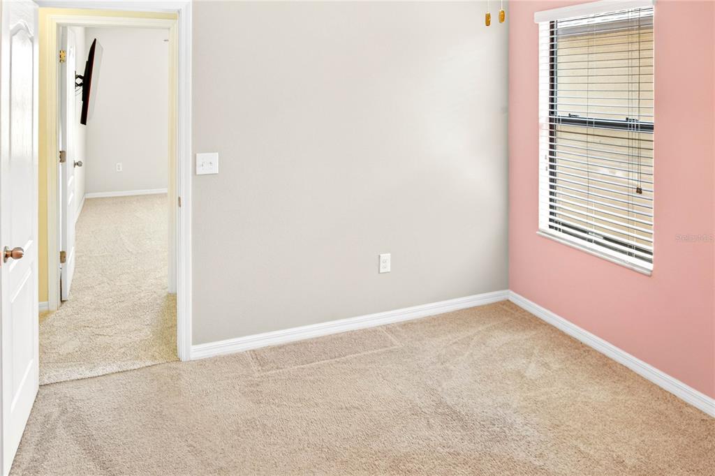 13415 White Sapphire Road Riverview, FL 33579 - Photo 62 of 96