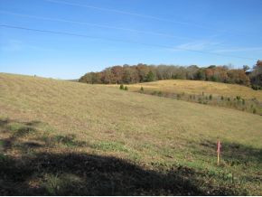 Tbd Billy Bible Road Greeneville, TN 37745 - Photo 13 of 13 Photo 13