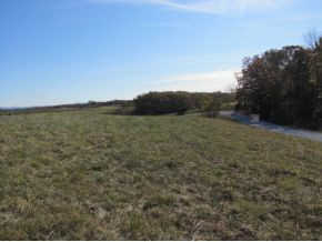 Tbd Billy Bible Road Greeneville, TN 37745 - Photo 4 of 13 Photo 4