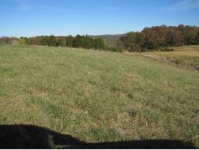Tbd Billy Bible Road Greeneville, TN 37745 - Photo 5 of 13 Photo 5