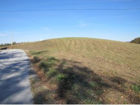 Tbd Billy Bible Road Greeneville, TN 37745 - Photo 7 of 13 Photo 7