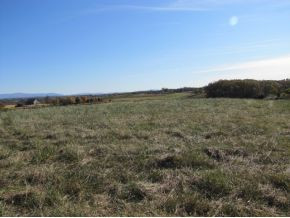 Tbd Billy Bible Road Greeneville, TN 37745 - Photo 10 of 13 Photo 10
