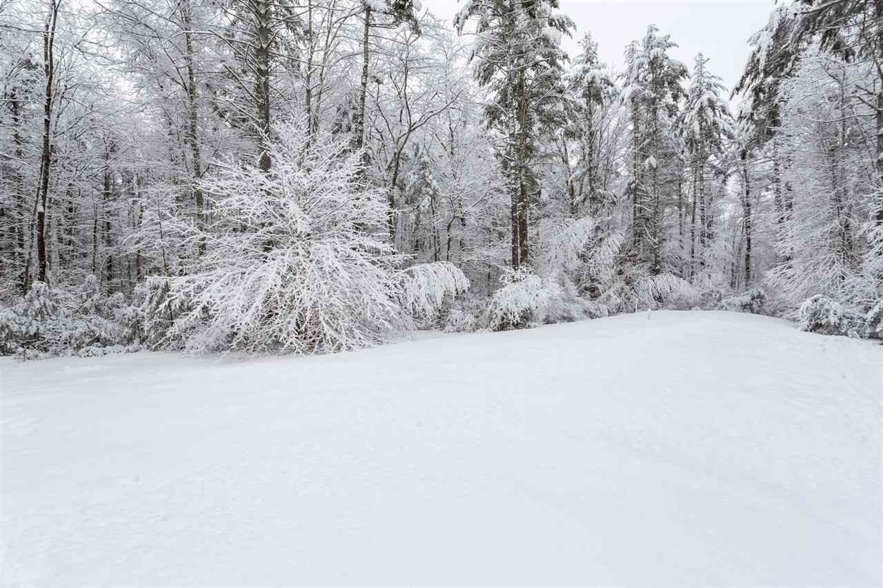 52 Lee Road Barrington, NH 03825 - Photo 8 of 40