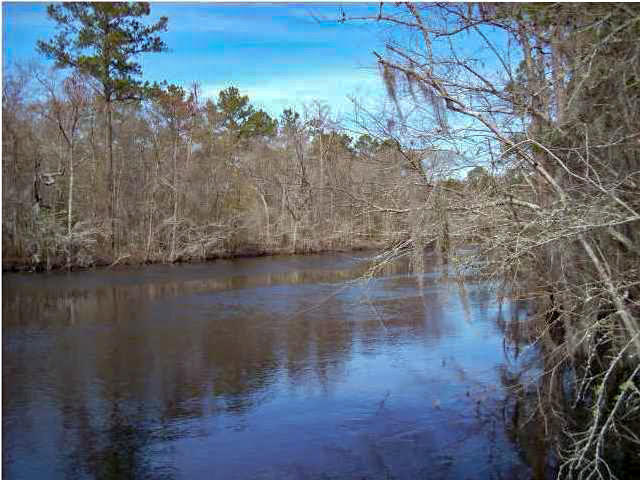 516 Turpentine Road Kingstree, SC 29556 - Photo 3 of 23 IMG_0605
